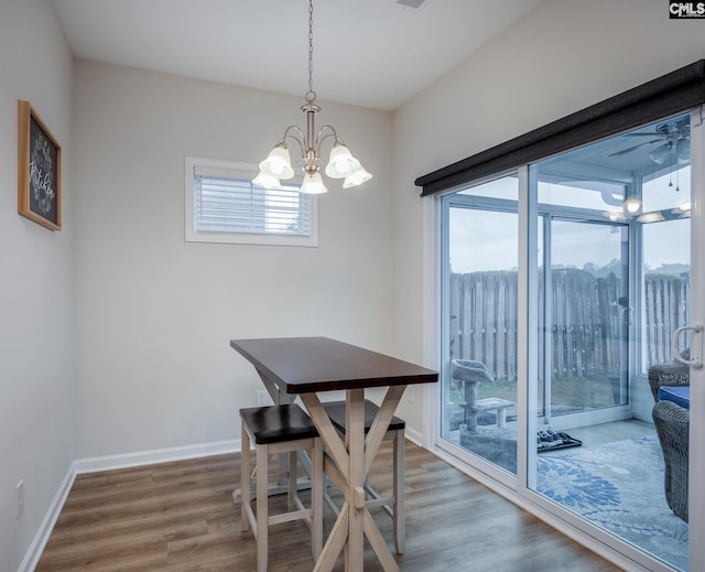 dining room with hardwood / wood-style flooring and ceiling fan with notable chandelier