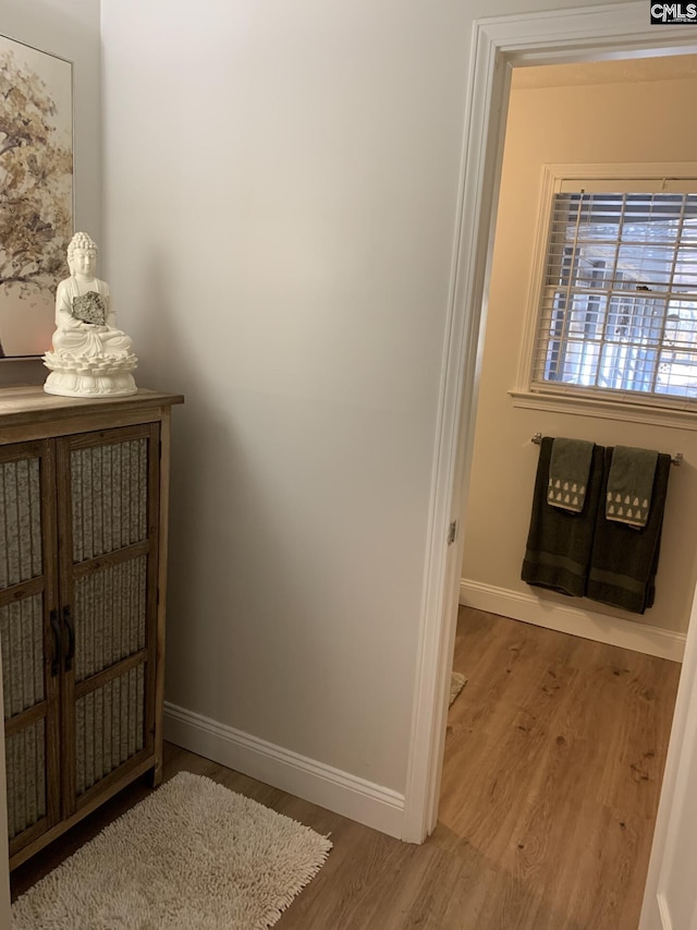 interior space featuring hardwood / wood-style floors