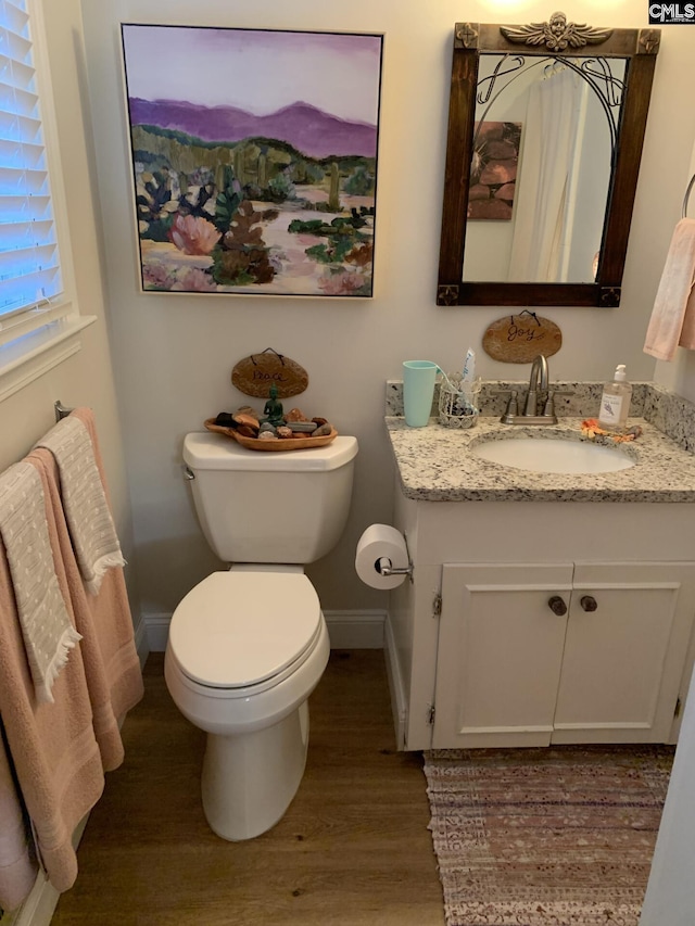 bathroom with vanity, wood-type flooring, and toilet