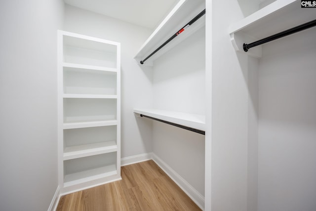 spacious closet featuring light wood-type flooring