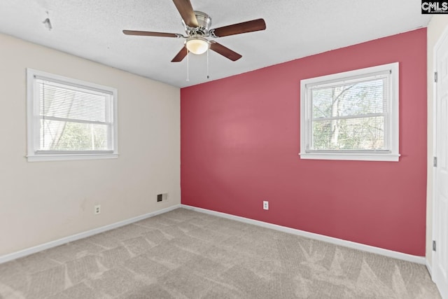 empty room with a wealth of natural light, light colored carpet, and a textured ceiling