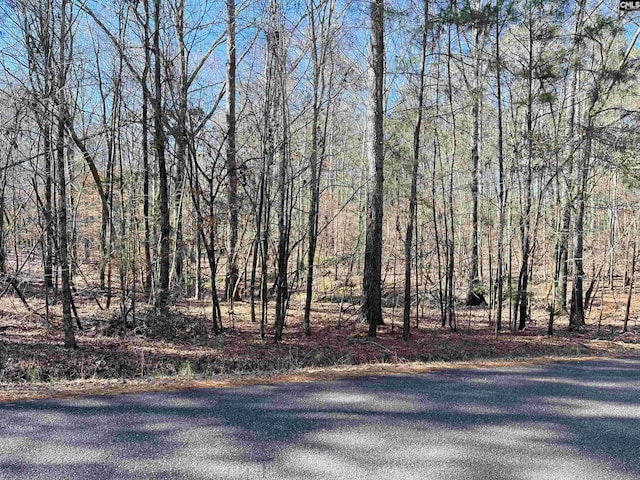 1105 Scooter Bridge Rd Lot 091, Batesburg SC, 29006 land for sale