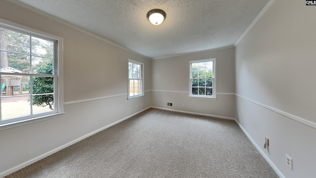 carpeted empty room featuring crown molding and a textured ceiling