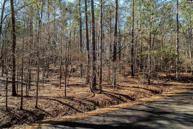 Little Saluda Ln Lot 089, Batesburg SC, 29006 land for sale