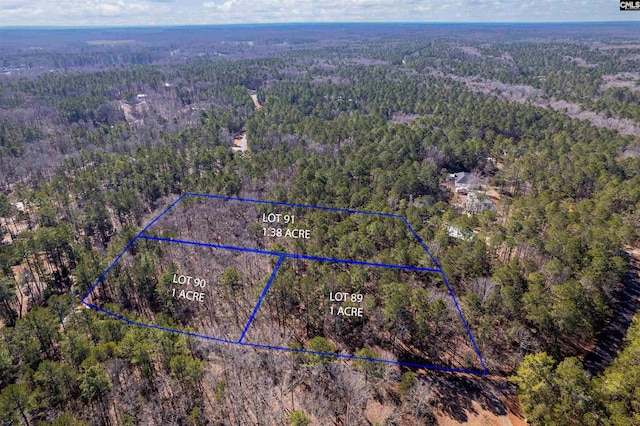 Listing photo 2 for Little Saluda Ln Lot 089, Batesburg SC 29006