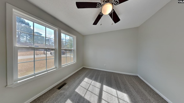 unfurnished room with carpet, plenty of natural light, and a textured ceiling