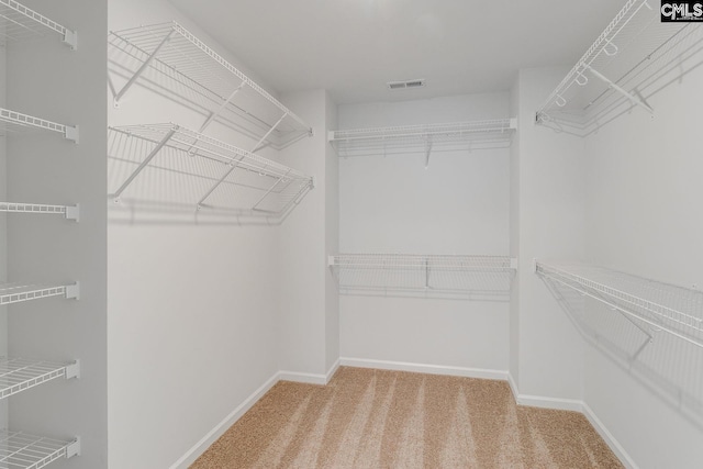 walk in closet featuring visible vents and carpet flooring