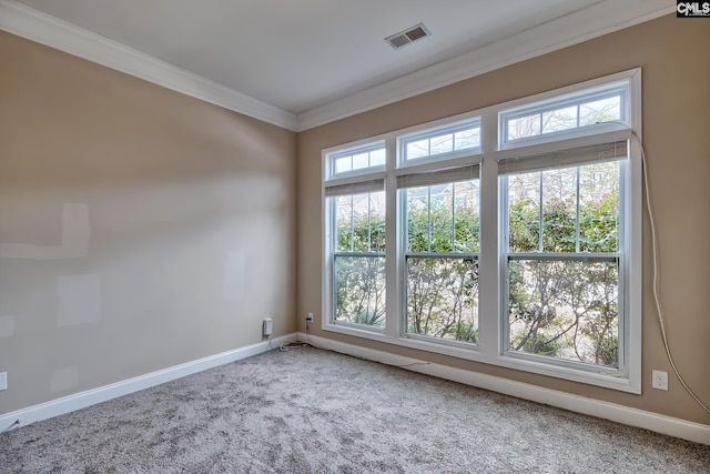 empty room with crown molding and carpet flooring