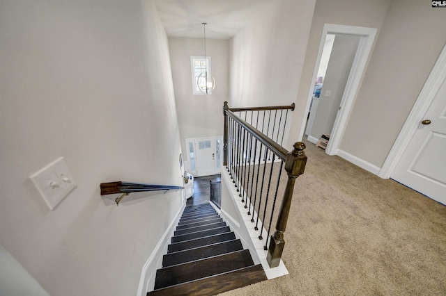 stairs with carpet flooring