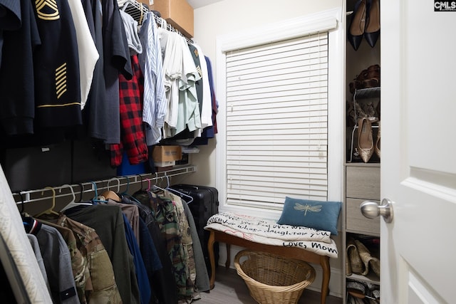 view of walk in closet