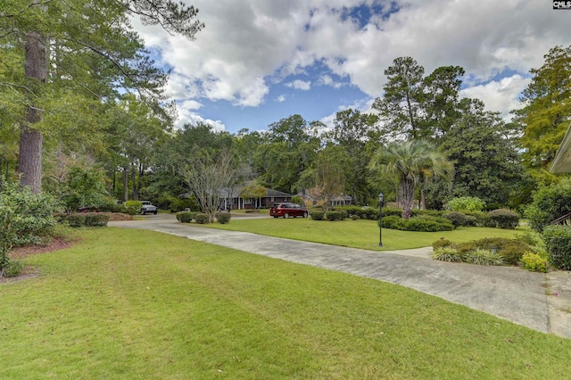 view of home's community featuring a lawn