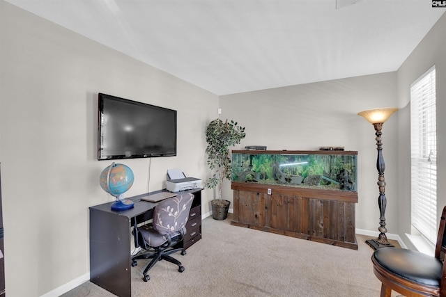 home office featuring light colored carpet