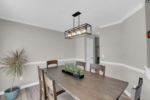 dining room featuring hardwood / wood-style floors and crown molding