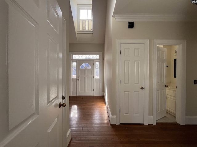 entrance foyer featuring dark hardwood / wood-style flooring