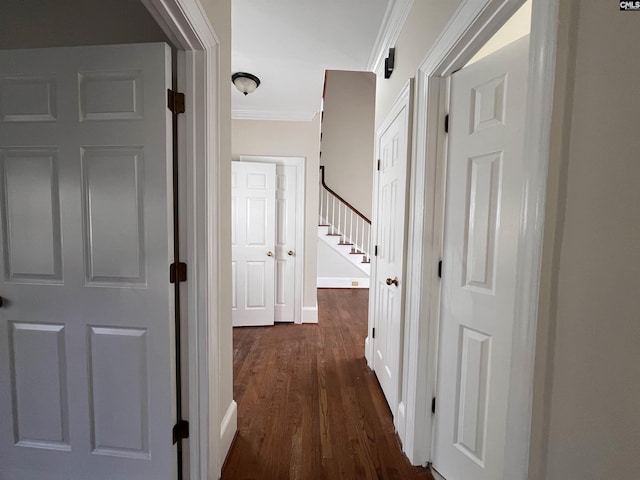 hall with crown molding and dark wood-type flooring