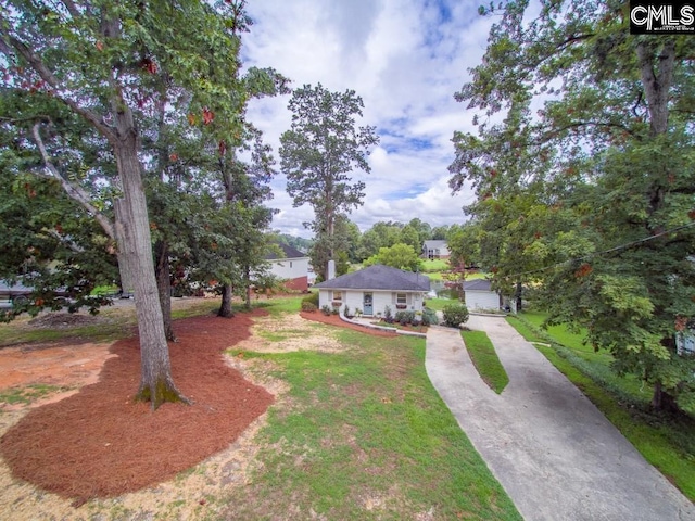 ranch-style house featuring a front yard