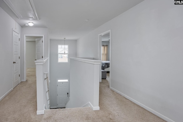 hallway featuring light carpet