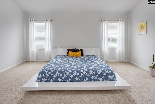 bedroom with multiple windows and carpet floors