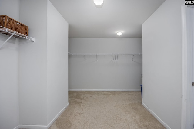 spacious closet featuring light carpet