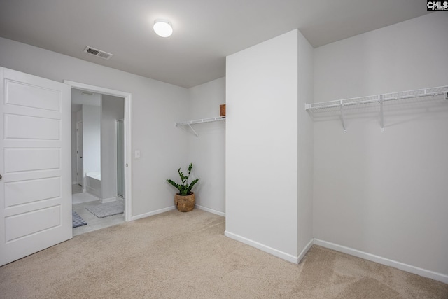 walk in closet with light colored carpet