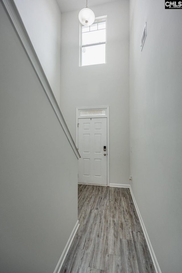 entrance foyer featuring a towering ceiling and light wood-type flooring