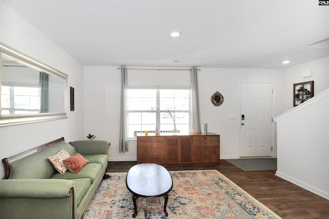 living room featuring dark hardwood / wood-style flooring