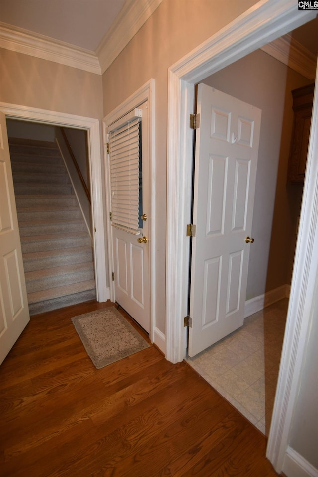 corridor featuring crown molding and hardwood / wood-style flooring