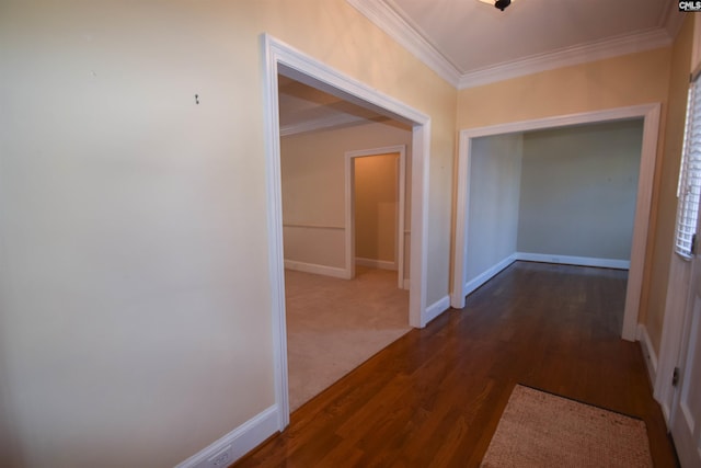 corridor with crown molding and dark hardwood / wood-style floors