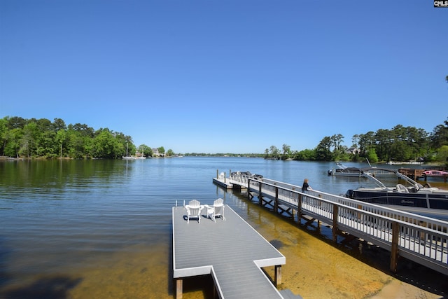 dock area with a water view