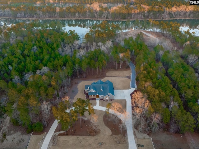 bird's eye view with a water view and a view of trees