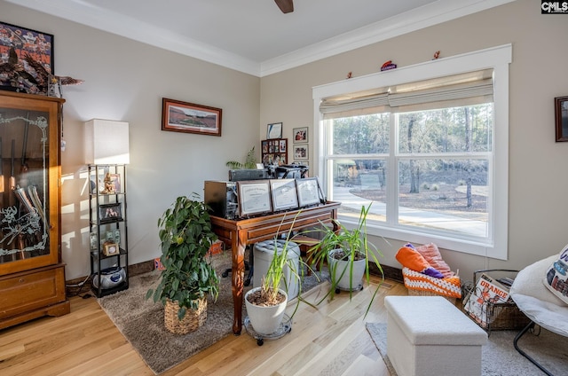 living area featuring ceiling fan, crown molding, and wood finished floors