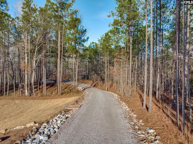 view of street featuring a wooded view