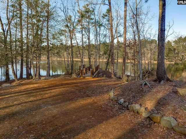 exterior space with a water view and a view of trees