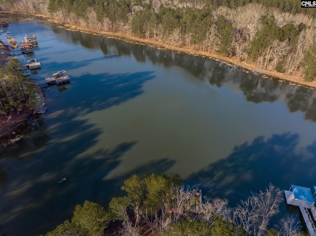 bird's eye view featuring a water view and a forest view