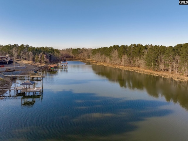 property view of water with a dock and a view of trees