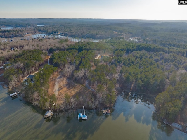 drone / aerial view featuring a water view and a view of trees