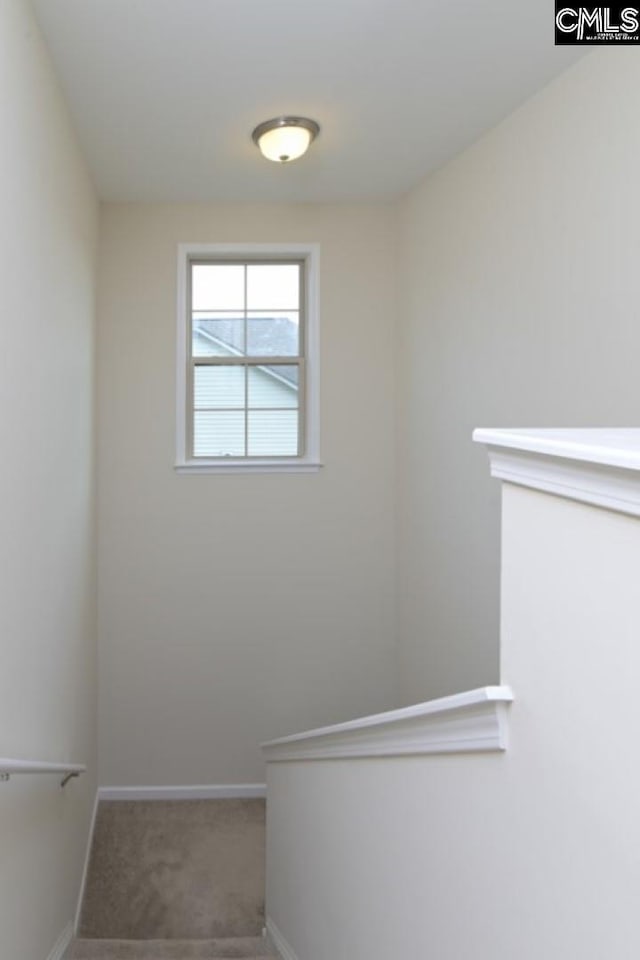 stairs featuring carpet