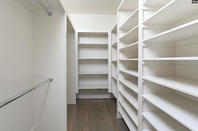 spacious closet with dark wood-type flooring