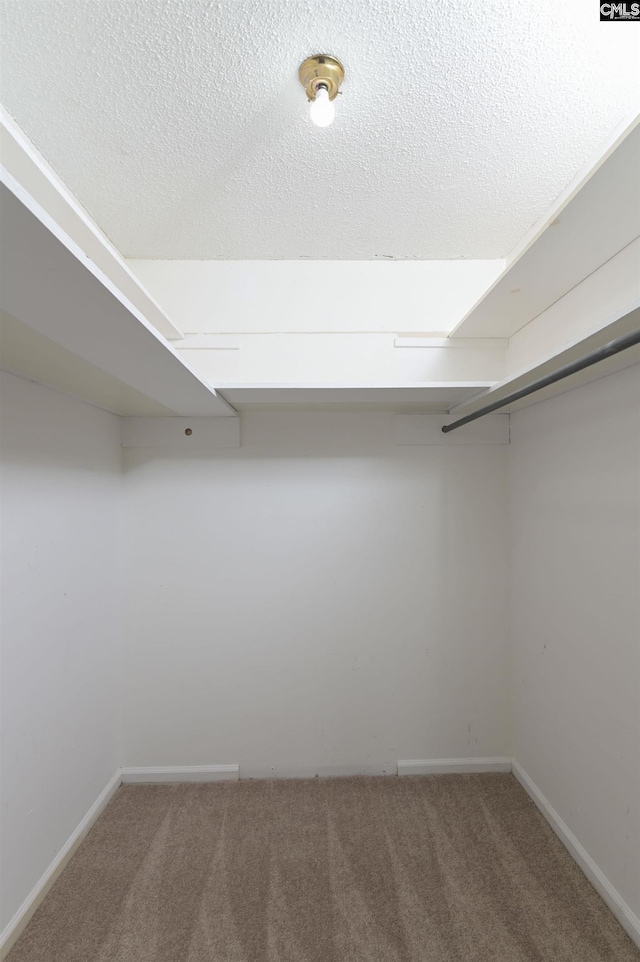 spacious closet featuring carpet floors