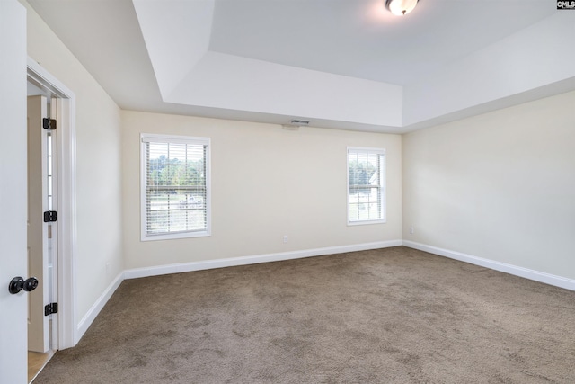 carpeted spare room featuring a tray ceiling