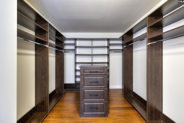 spacious closet with dark hardwood / wood-style flooring