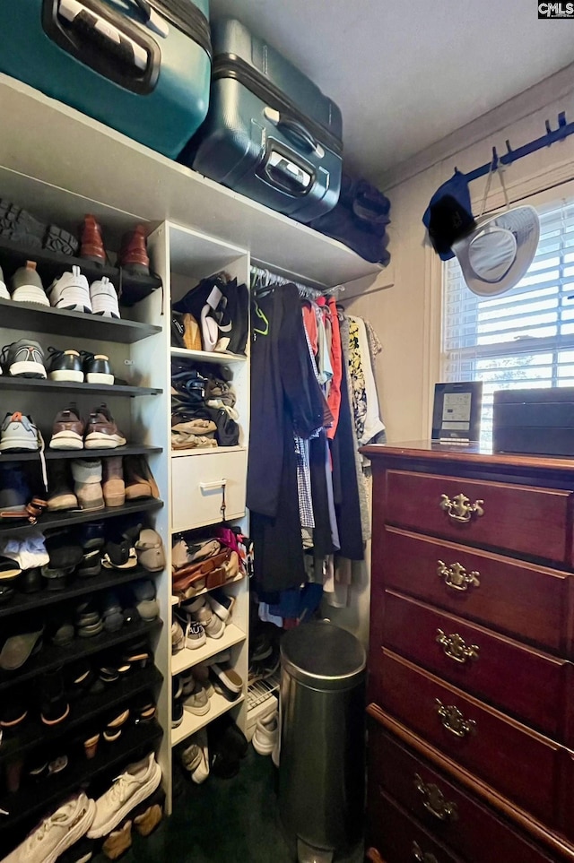 spacious closet featuring carpet flooring