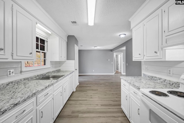 kitchen featuring white cabinetry, sink, and electric stove