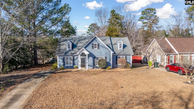 view of cape cod house