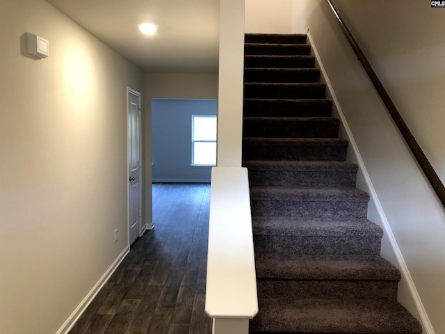 stairway with wood-type flooring