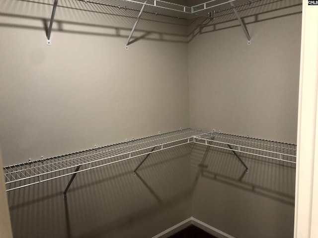 view of walk in closet