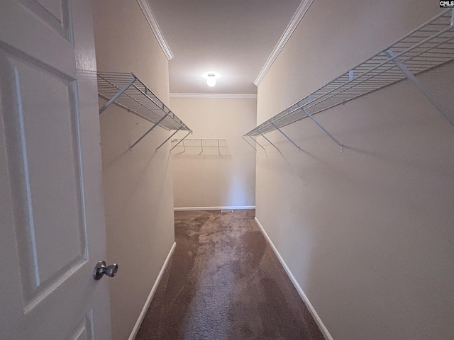 spacious closet featuring carpet floors