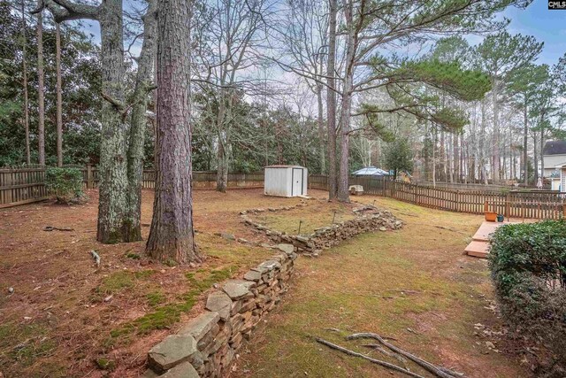 view of yard featuring a shed