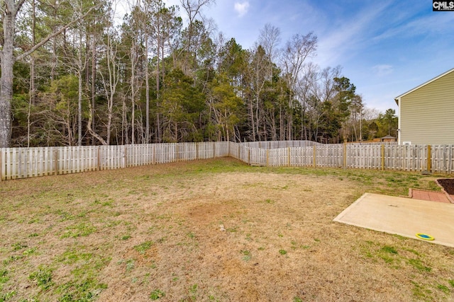 view of yard featuring a patio