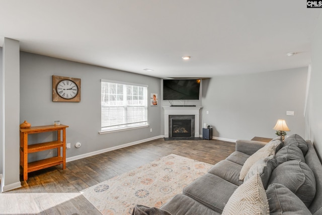 living room with dark hardwood / wood-style flooring